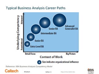 Career Development Tips for Business Analysts