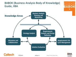 Career Development Tips for Business Analysts