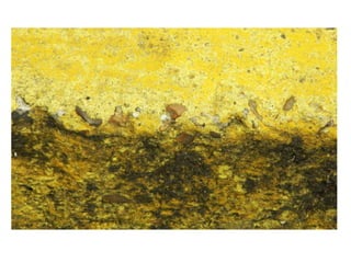 My 20 Beat Photographs