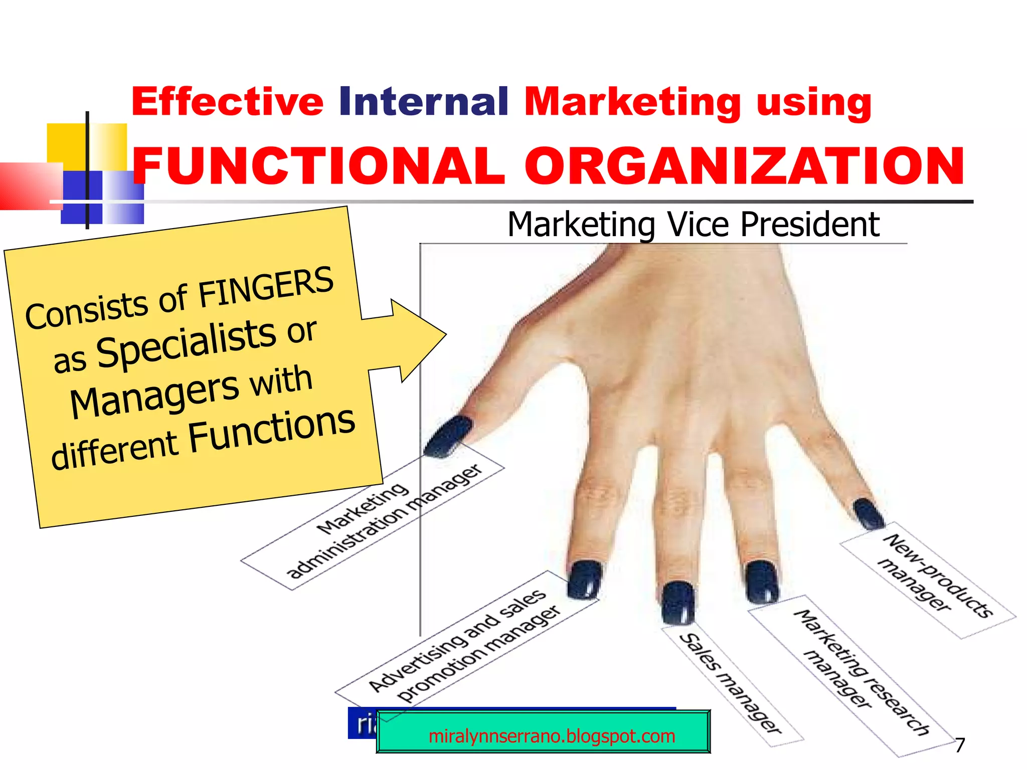 Effective  Internal  Marketing using  FUNCTIONAL ORGANIZATION 7 miralynnserrano.blogspot.com Marketing Vice President Consists of FINGERS  as  Specialists  or  Managers  with  different  Functions 