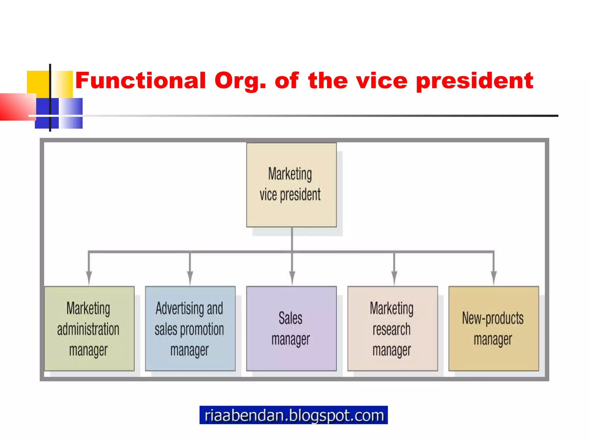Functional Org. of the vice president 