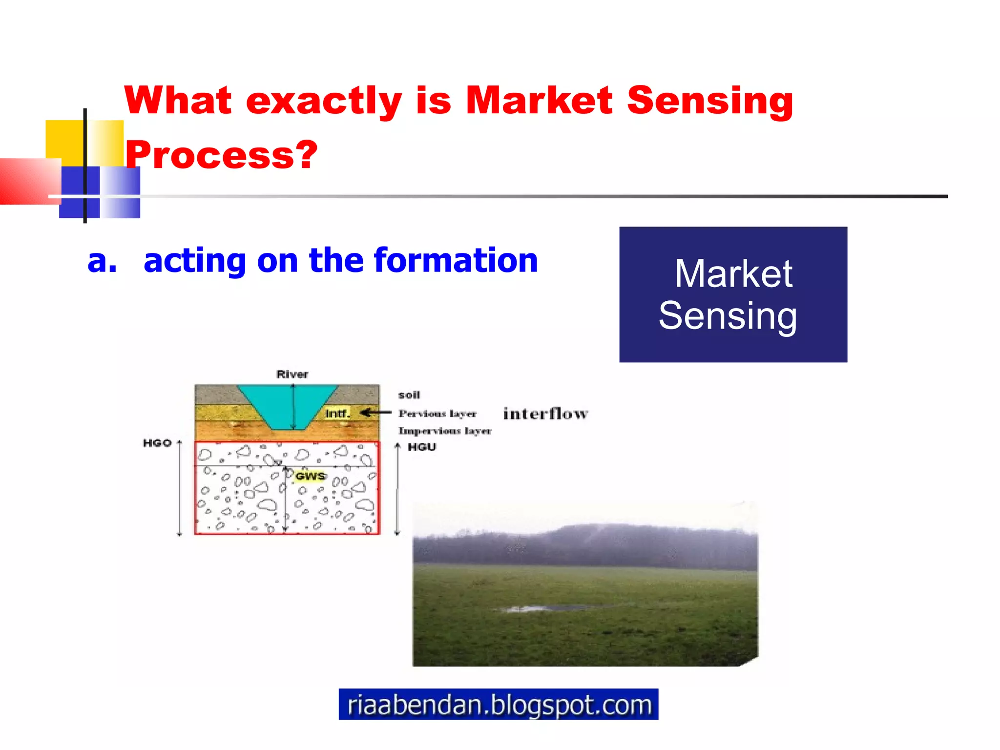 What exactly is Market Sensing Process? acting on the formation Market Sensing  