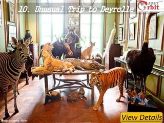 10. Unusual Trip to Deyrolle

Image courtesy - Flickr

View Details

 