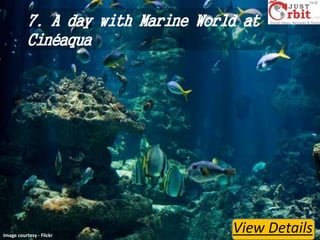 7. A day with Marine World at
Cinéaqua

Image courtesy - Flickr

View Details

 