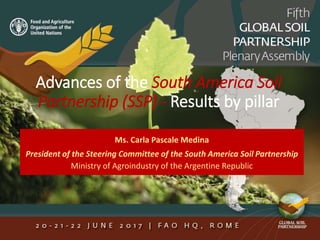 Advances of the South America Soil
Partnership (SSP) - Results by pillar
Ms. Carla Pascale Medina
President of the Steering Committee of the South America Soil Partnership
Ministry of Agroindustry of the Argentine Republic
 