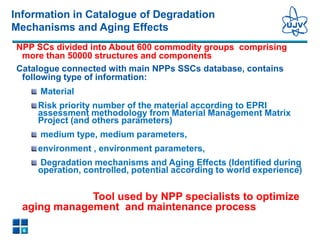 Aging Management Experience. Status of the IVMR Project | PDF