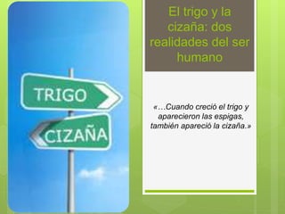 El trigo y la
cizaña: dos
realidades del ser
humano
«…Cuando creció el trigo y
aparecieron las espigas,
también apareció la cizaña.»