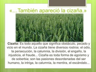 «…También apareció la cizaña.»
Cizaña: Es todo aquello que significa obstáculo, pecado y
vicio en el mundo. La cizaña tiene diversos rostros: el odio,
la persecución, la calumnia, la división, el engaño, la
injusticia, el fraude... Cizaña es toda forma de egoísmo y
de soberbia; son las pasiones desordenadas del ser
humano, la intriga, la calumnia, la mentira, el escándalo...