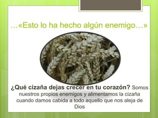 …«Esto lo ha hecho algún enemigo…»
¿Qué cizaña dejas crecer en tu corazón? Somos
nuestros propios enemigos y alimentamos la cizaña
cuando damos cabida a todo aquello que nos aleja de
Dios