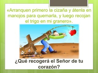 «Arranquen primero la cizaña y átenla en
manojos para quemarla, y luego recojan
el trigo en mi granero».
¿Qué recogerá el Señor de tu
corazón?