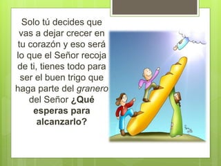 Solo tú decides que
vas a dejar crecer en
tu corazón y eso será
lo que el Señor recoja
de ti, tienes todo para
ser el buen trigo que
haga parte del granero
del Señor ¿Qué
esperas para
alcanzarlo?