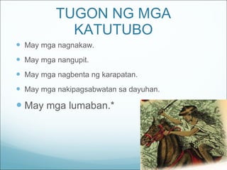 TUGON NG MGA KATUTUBO May mga nagnakaw. May mga nangupit. May mga nagbenta ng karapatan. May mga nakipagsabwatan sa dayuhan. May mga lumaban.* 