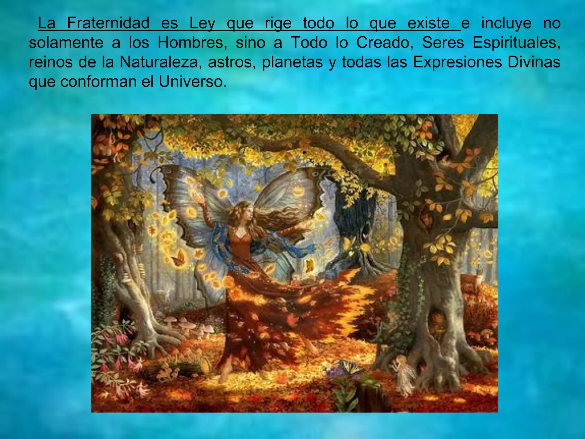 La Fraternidad es Ley que rige todo lo que existe e incluye no
solamente a los Hombres, sino a Todo lo Creado, Seres Espirituales,
reinos de la Naturaleza, astros, planetas y todas las Expresiones Divinas
que conforman el Universo.
 