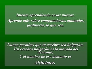 Intente aprendiendo cosas nuevas.  Aprende más sobre computadoras, manuales, jardinería, lo que sea.  Nunca permitas que tu cerebro sea holgazán.  Un cerebro holgazán es la morada del demonio.  Y el nombre de ese demonio es  Alzheimer .  