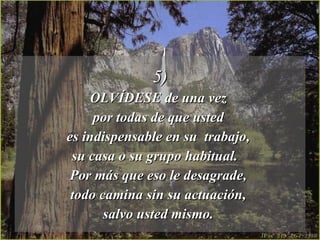 5) OLVÍDESE de una vez  por todas de que usted  es indispensable en su  trabajo,  su casa o su grupo habitual.  Por más que eso le desagrade,  todo camina sin su actuación,  salvo usted mismo.  
