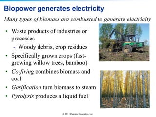 Biopower generates electricity
Many types of biomass are combusted to generate electricity
• Waste products of industries or
processes
- Woody debris, crop residues
• Specifically grown crops (fastgrowing willow trees, bamboo)
• Co-firing combines biomass and
coal
• Gasification turn biomass to steam
• Pyrolysis produces a liquid fuel
© 2011 Pearson Education, Inc.

 