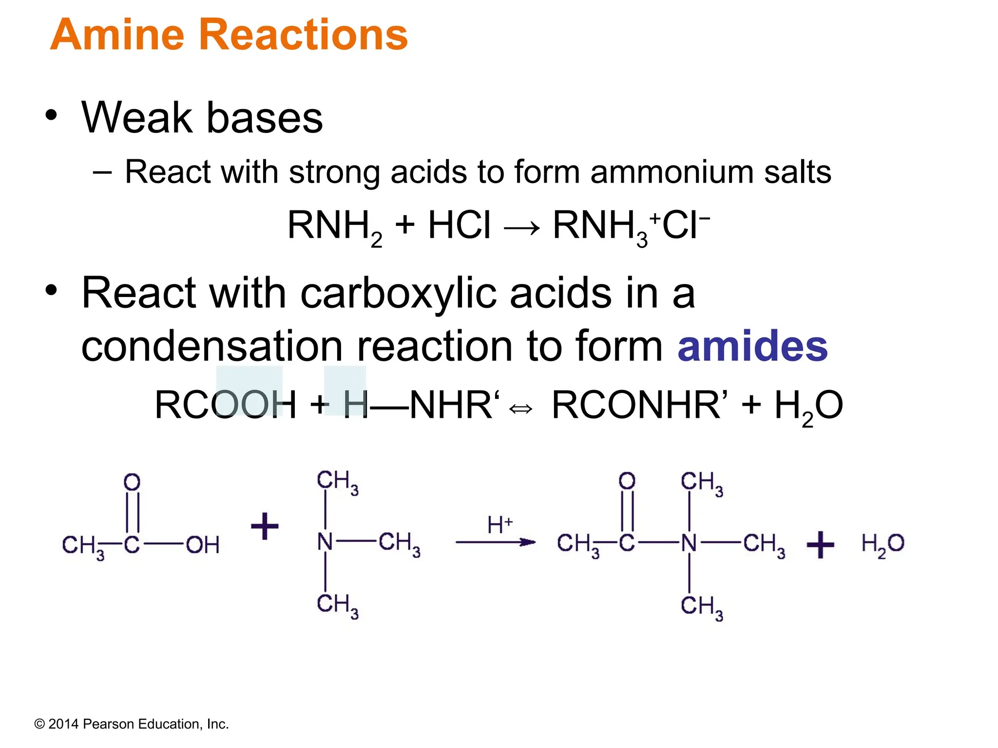 © 2014 Pearson Education, Inc.
Amine Reactions
• Weak bases
– React with strong acids to form ammonium salts
RNH2 + HCl → RNH3
+
Cl−
• React with carboxylic acids in a
condensation reaction to form amides
RCOOH + H—NHR‘ RCONHR
⇔ ’ + H2O
 