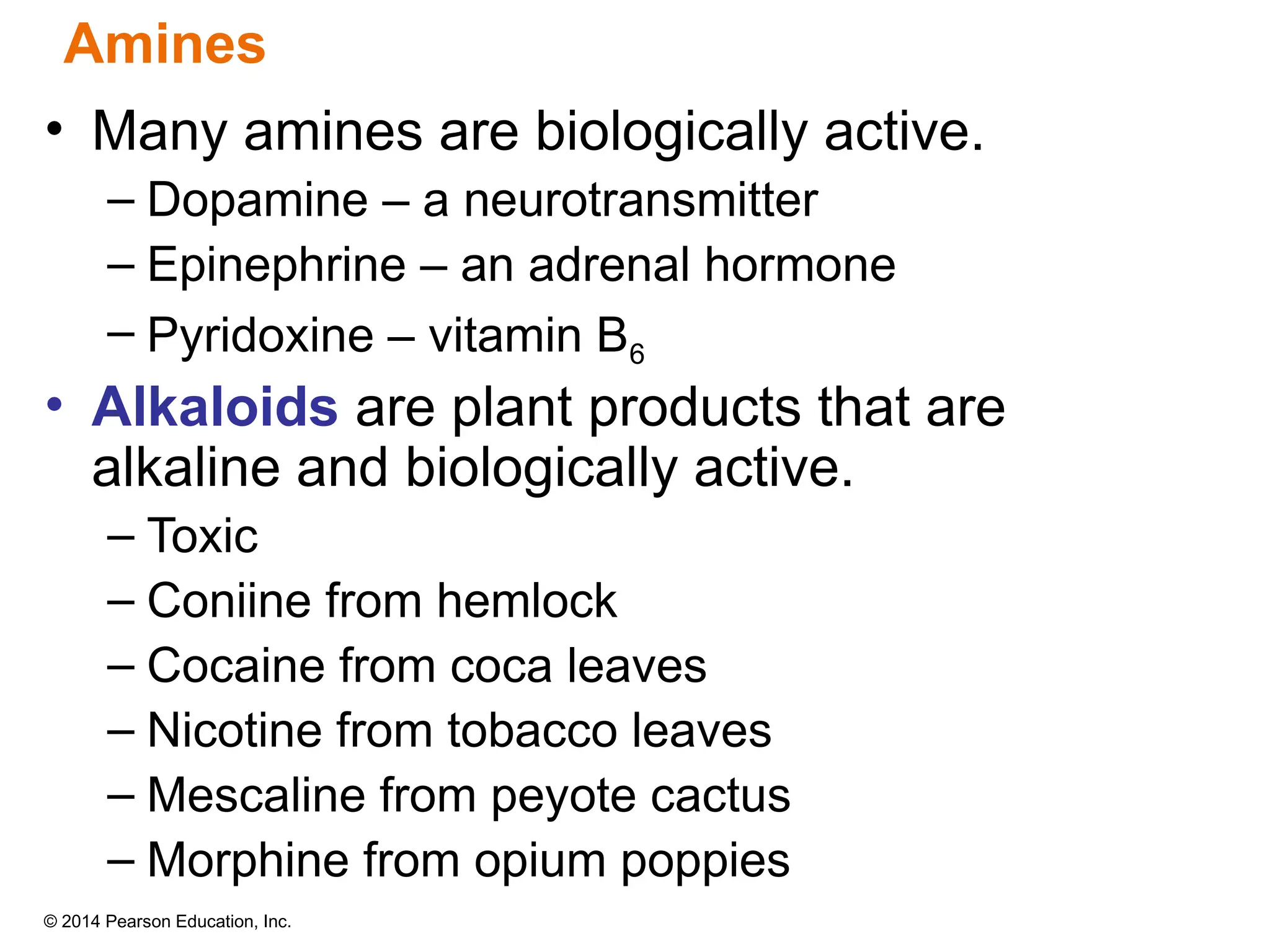 © 2014 Pearson Education, Inc.
• Many amines are biologically active.
– Dopamine – a neurotransmitter
– Epinephrine – an adrenal hormone
– Pyridoxine – vitamin B6
• Alkaloids are plant products that are
alkaline and biologically active.
– Toxic
– Coniine from hemlock
– Cocaine from coca leaves
– Nicotine from tobacco leaves
– Mescaline from peyote cactus
– Morphine from opium poppies
Amines
 
