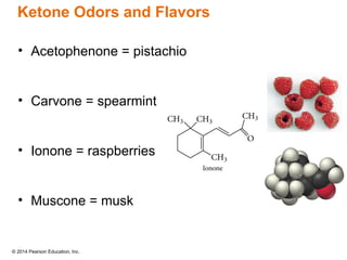 © 2014 Pearson Education, Inc.
• Acetophenone = pistachio
• Carvone = spearmint
• Ionone = raspberries
• Muscone = musk
Ketone Odors and Flavors
 