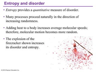 Entropy and disorder
• Entropy provides a quantitative measure of disorder.
• Many processes proceed naturally in the direction of
increasing randomness.
• Adding heat to a body increases average molecular speeds;
therefore, molecular motion becomes more random.
• The explosion of the
firecracker shown increases
its disorder and entropy.
© 2016 Pearson Education Inc.
 