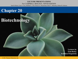 LECTURE PRESENTATIONS
For CAMPBELL BIOLOGY, NINTH EDITION
Jane B. Reece, Lisa A. Urry, Michael L. Cain, Steven A. Wasserman, Peter V. Minorsky, Robert B. Jackson
© 2011 Pearson Education, Inc.
Lectures by
Erin Barley
Kathleen Fitzpatrick
Biotechnology
Chapter 20
 