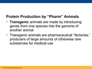 • Transgenic animals are made by introducing
genes from one species into the genome of
another animal
• Transgenic animals are pharmaceutical “factories,”
producers of large amounts of otherwise rare
substances for medical use
Protein Production by “Pharm” Animals
© 2011 Pearson Education, Inc.
 