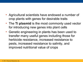 • Agricultural scientists have endowed a number of
crop plants with genes for desirable traits
• The Ti plasmid is the most commonly used vector
for introducing new genes into plant cells
• Genetic engineering in plants has been used to
transfer many useful genes including those for
herbicide resistance, increased resistance to
pests, increased resistance to salinity, and
improved nutritional value of crops
© 2011 Pearson Education, Inc.
 