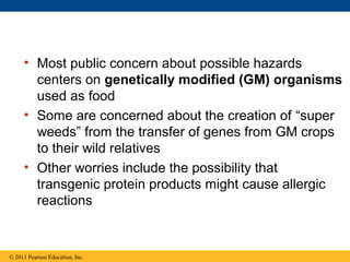 • Most public concern about possible hazards
centers on genetically modified (GM) organisms
used as food
• Some are concerned about the creation of “super
weeds” from the transfer of genes from GM crops
to their wild relatives
• Other worries include the possibility that
transgenic protein products might cause allergic
reactions
© 2011 Pearson Education, Inc.
 