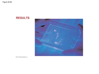 Figure 20.9b
RESULTS
 