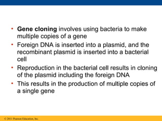 • Gene cloning involves using bacteria to make
multiple copies of a gene
• Foreign DNA is inserted into a plasmid, and the
recombinant plasmid is inserted into a bacterial
cell
• Reproduction in the bacterial cell results in cloning
of the plasmid including the foreign DNA
• This results in the production of multiple copies of
a single gene
© 2011 Pearson Education, Inc.
 