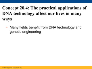 Concept 20.4: The practical applications of
DNA technology affect our lives in many
ways
• Many fields benefit from DNA technology and
genetic engineering
© 2011 Pearson Education, Inc.
 