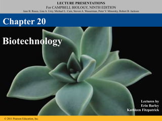 LECTURE PRESENTATIONS
For CAMPBELL BIOLOGY, NINTH EDITION
Jane B. Reece, Lisa A. Urry, Michael L. Cain, Steven A. Wasserman, Peter V. Minorsky, Robert B. Jackson
© 2011 Pearson Education, Inc.
Lectures by
Erin Barley
Kathleen Fitzpatrick
Biotechnology
Chapter 20
 