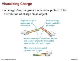 Visualizing Charge
• A charge diagram gives a schematic picture of the
distribution of charge on an object.
Slide 20-37
© ...