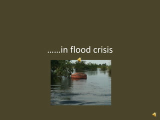 ……in flood crisis
 
