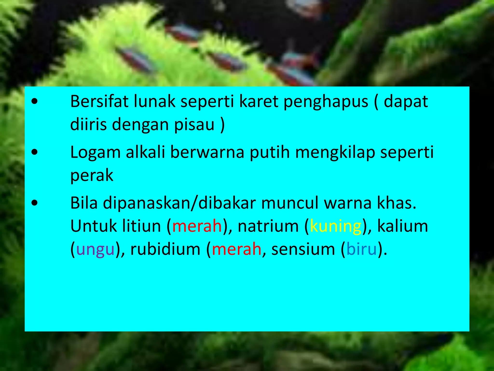 • Bersifat lunak seperti karet penghapus ( dapat
diiris dengan pisau )
• Logam alkali berwarna putih mengkilap seperti
perak
• Bila dipanaskan/dibakar muncul warna khas.
Untuk litiun (merah), natrium (kuning), kalium
(ungu), rubidium (merah, sensium (biru).
 