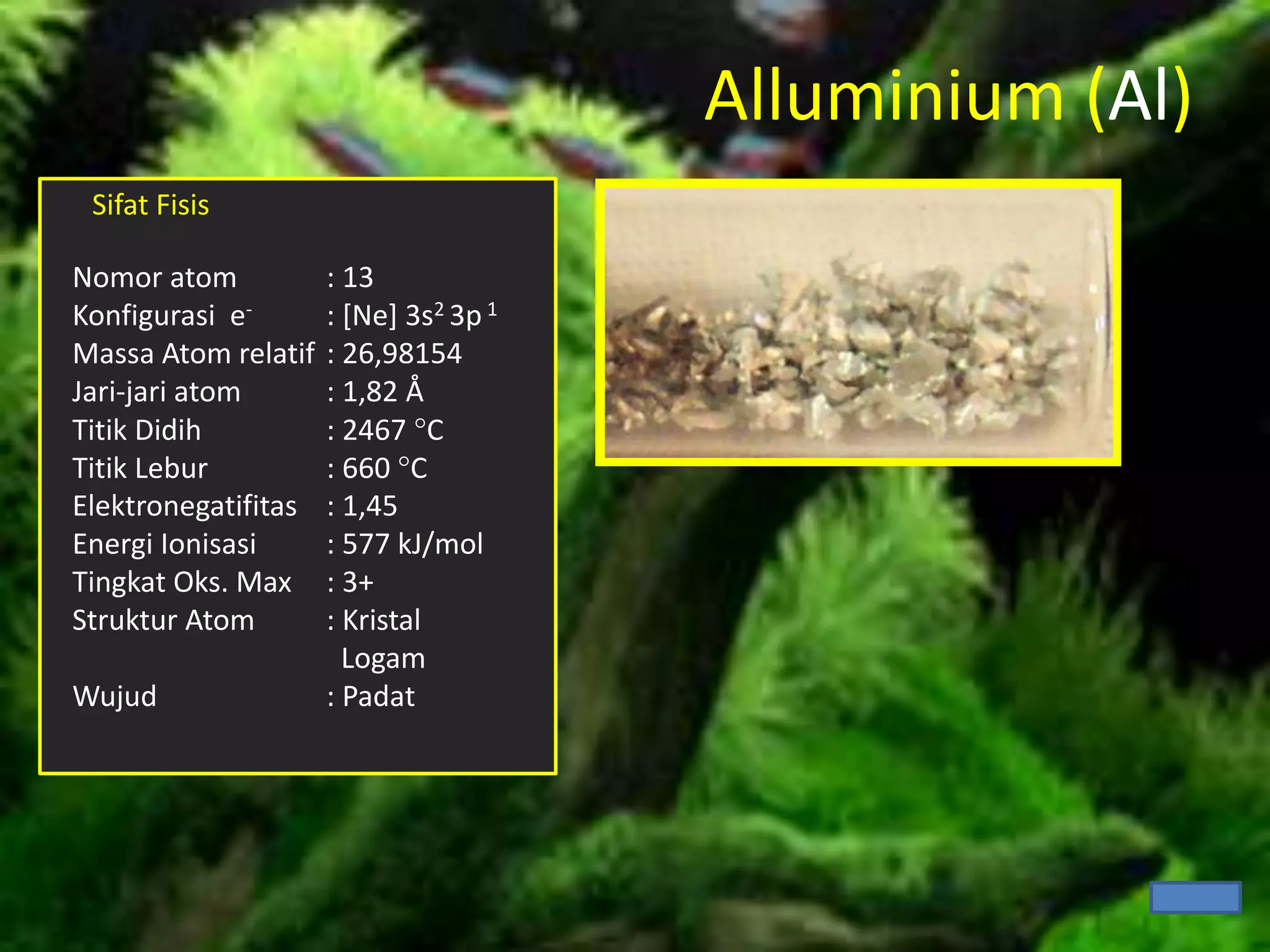 Alluminium (Al)
Sifat Fisis
Nomor atom : 13
Konfigurasi e- : [Ne] 3s2 3p 1
Massa Atom relatif : 26,98154
Jari-jari atom : 1,82 Å
Titik Didih : 2467 C
Titik Lebur : 660 C
Elektronegatifitas : 1,45
Energi Ionisasi : 577 kJ/mol
Tingkat Oks. Max : 3+
Struktur Atom : Kristal
Logam
Wujud : Padat
 