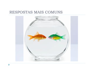 RESPOSTAS MAIS COMUNS
 