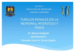 TUBULOS RENALES (DE LA 
NEFRONA), INTERSTICIO Y 
VASOS 
Dr. Manuel Delgado 
HISTOLOGÍA II 
Ponente: Zayra A. Torres Zapata 
 