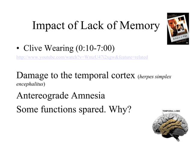 Introductory Psychology Memory Pptx Brain And Nervous System