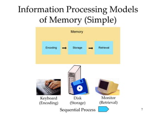 Memory Capture Template Introductory Psychology: Memory | PPTX