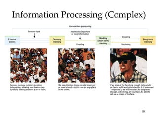 Information Processing (Complex)




                              10
 