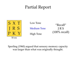 Partial Report


S X T             Low Tone
                                       “Recall”
J R S             Medium Tone ...