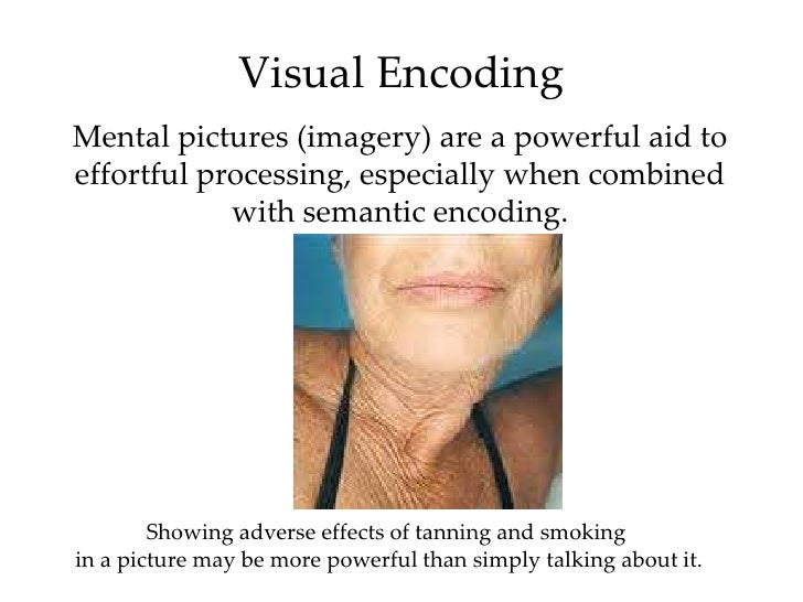 Introductory Psychology Memory
