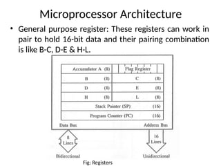 Microprocessor Architecture
• General purpose register: These registers can work in
pair to hold 16-bit data and their pairing combination
is like B-C, D-E & H-L.
Fig: Registers
 