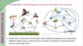 20MNT31 & Environmental Science - Ecosystem (2023-24-II-AIDS-B).ppt