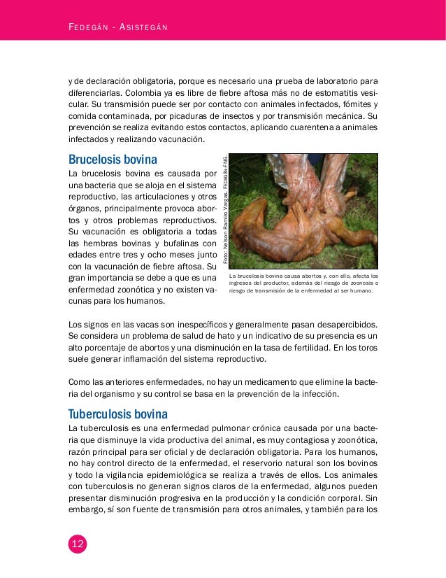 20 Modulo Enfermedades Infecciosas Baja