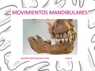MOVIMIENTOS MANDIBULARES
GALVÁN NOCHEBUENA ELMA 3OV53
 