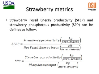 Strawberry metrics
• Strawberry Fossil Energy productivity (SFEP) and
strawberry phosphorous productivity (SPP) can be
defines as follow:
 