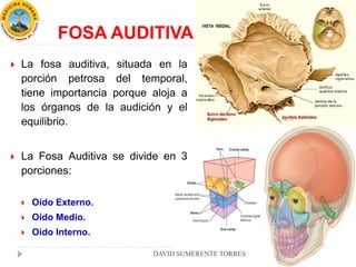 FOSA AUDITIVA
 La fosa auditiva, situada en la
porción petrosa del temporal,
tiene importancia porque aloja a
los órganos de la audición y el
equilibrio.
 La Fosa Auditiva se divide en 3
porciones:
 Oído Externo.
 Oído Medio.
 Oído Interno.
DAVID SUMERENTE TORRES
 