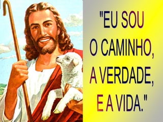 20 o santuário terrestre